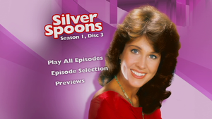 Silver Spoons 1982 Complete TV Series On DVD Ricky Schroder Erin Gray Joel Higgins Leonard Lightfoot